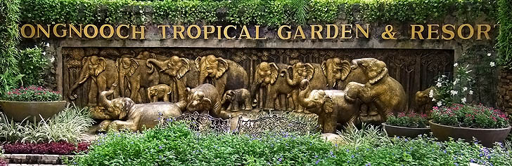Nong Noch Tropischer Garten Pattaya