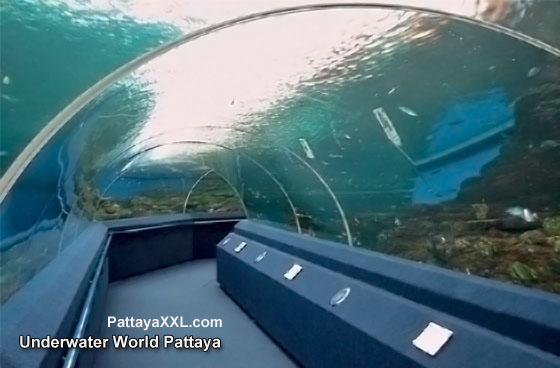 Under water world bei Pattaya in Thailand