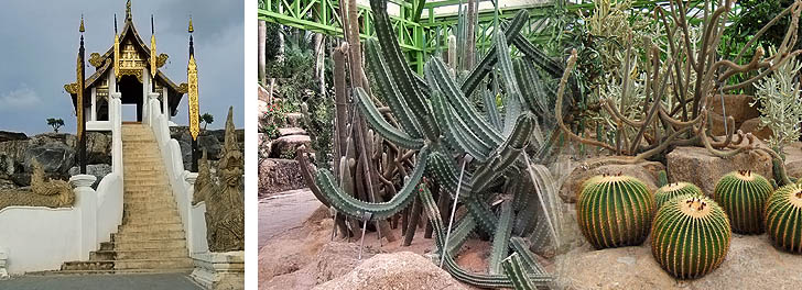 Tropischer Garten Noch Noch bei Pattaya